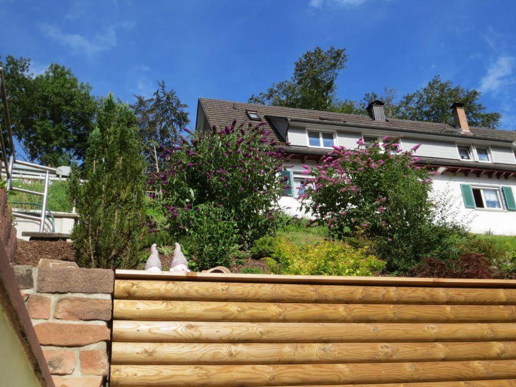 Ferienwohnung Am Kapellenberg - Am Rande Des Nationalparks Schwarzwald Bad Peterstal-Griesbach Exterior foto