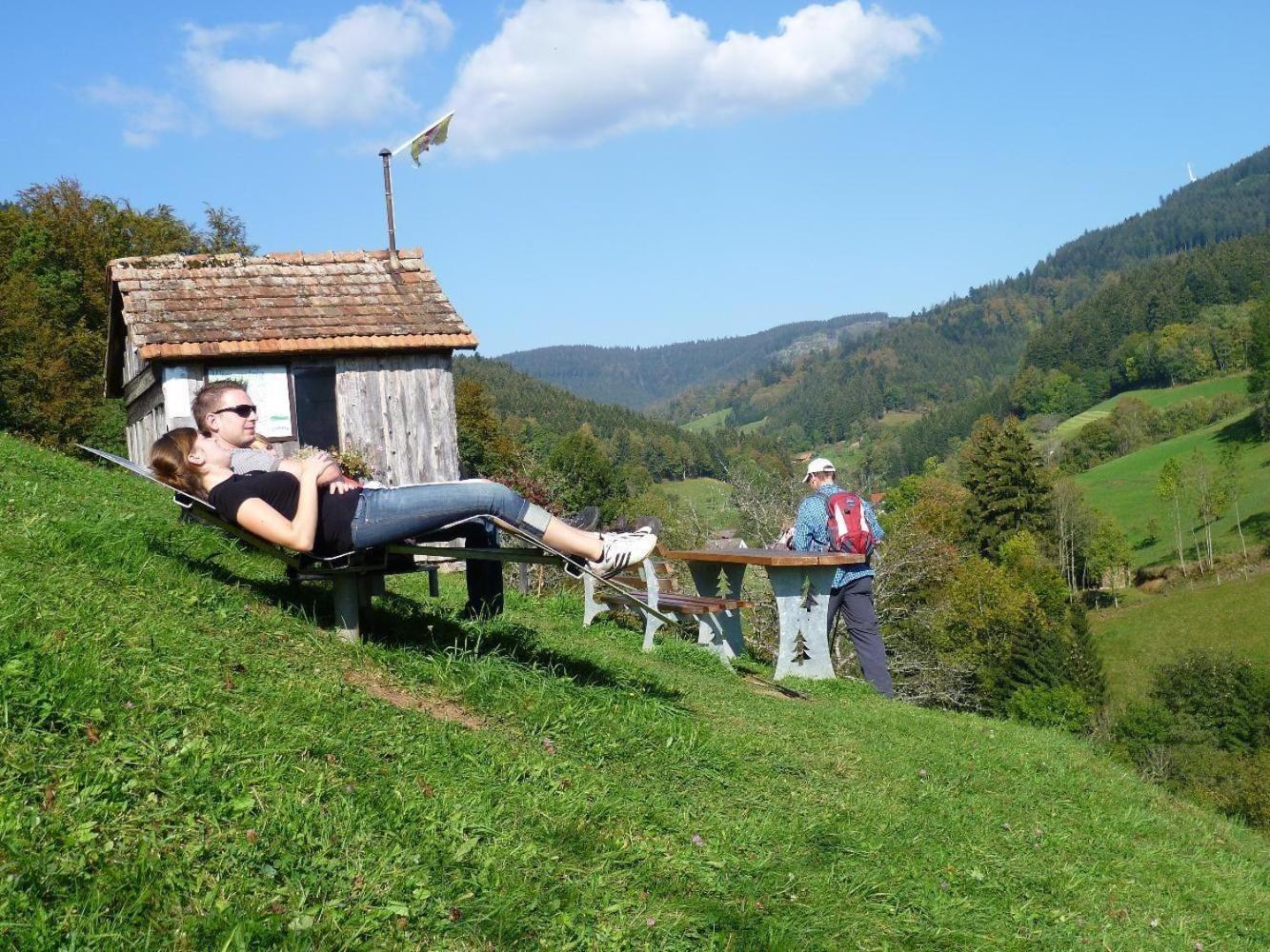 Ferienwohnung Am Kapellenberg - Am Rande Des Nationalparks Schwarzwald Bad Peterstal-Griesbach Exterior foto